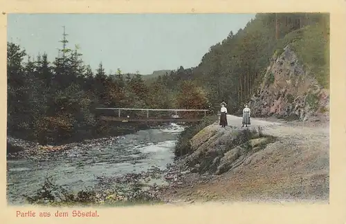 Harz, Partie aus dem Sösetal gl1910 G2012