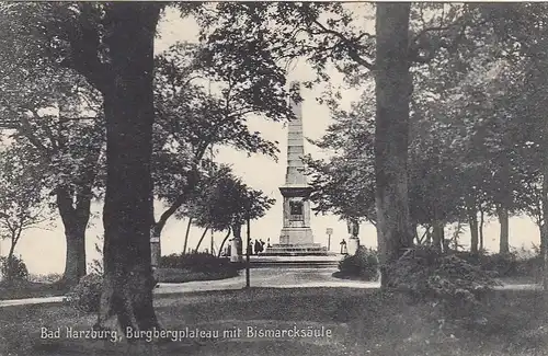 Bad Harzburg, Burgbergplateau mit Bismarcksäule ngl G2128