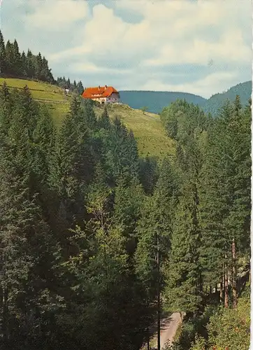 Bad Rippoldsau, Hotel Berghof ngl G4318