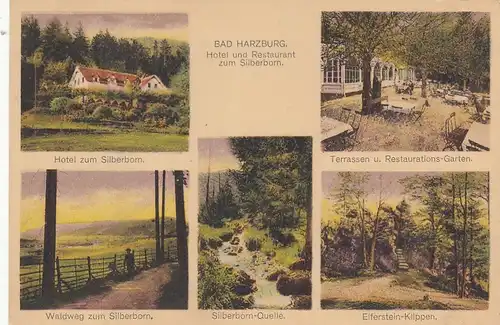 Bad Harzburg, Hotel zum Silberhorn u.a. ... ngl G2141