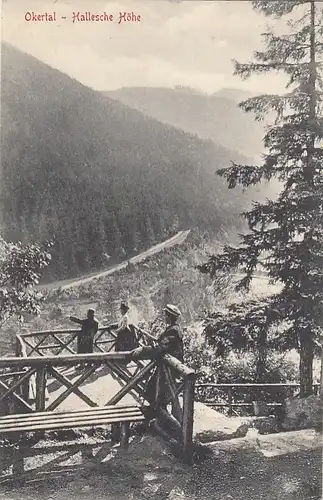 Okertal, Harz, Hallesche Höhe ngl G2123