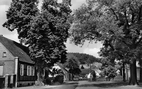 Göttlin (Kreis Rathenow) Straßenpartie ngl 168.617