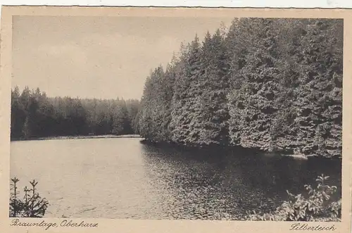 Braunlage/Oberharz, Silberteich ngl G2297