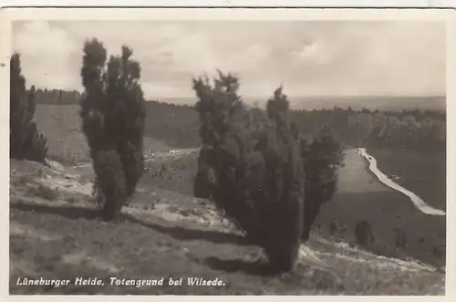 Wilsede, Lüneburger Heide, Totengrund gl1931 G3079