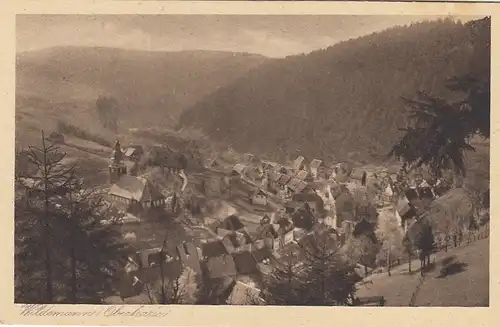 Wildemann, Oberharz, Panorama ngl G2338