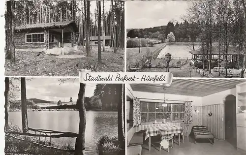 Praforst-Hünfeld, Stadtwald, Mehrbildkarte gl1960 G5877