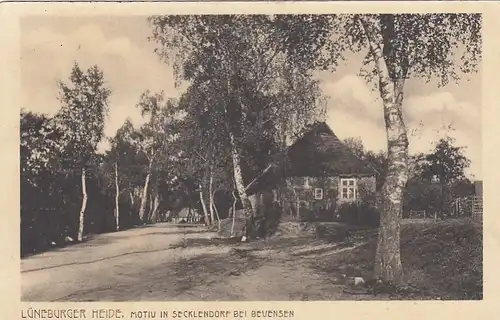 Lüneburge Heide, Motiv in Secklendorf bei Beuensen gl1914 G3190R