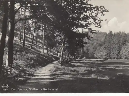 Bad Sachsa, Südharz, Kuckanstal gl1965 G2474