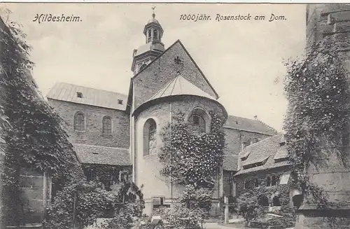 Hildesheim, 1000jähriger Rosenstrauch am Dom ngl G3238