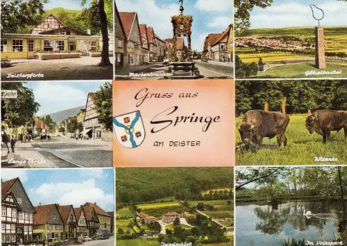 Springe a.Deister, Mehrbildkarte gl1974 G6116