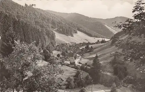Sieber im Harz, Panorama gl1956 G2553