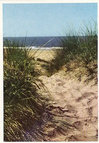 Nordseebad Baltrum, in den Dünen ngl G2733