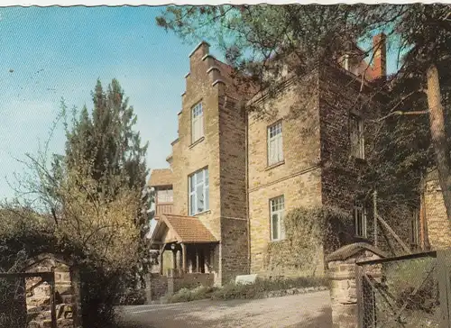 Die Walburg bei Waldbreitbach gl1969 G4949