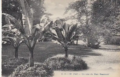 Pau (Pyrénées Atlantiques)Un Coin du Parc Beaumont ngl G3548