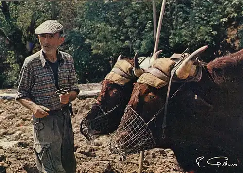 Le Laboureur de la Vie Rurale ngl G5167