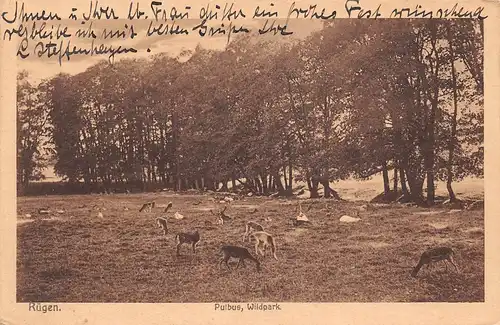 Putbus auf Rügen Wildpark gl1927 169.642