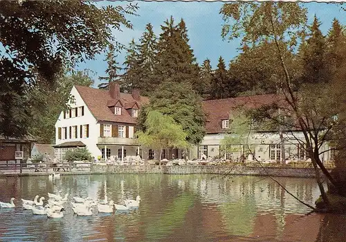 Leopoldstal, Teutoburger Wald, Waldhotel mit Pension Silbermühle ngl G6045