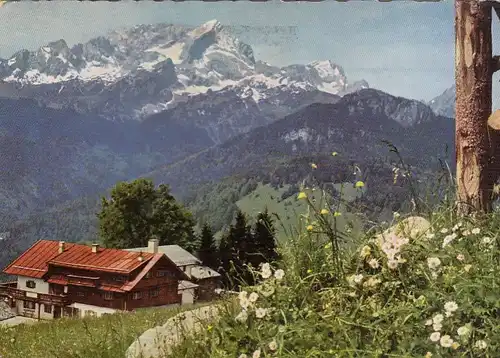 Eckbauer gegen Hochblassen, Alpspitze und Zugspitze gl1958 G6681