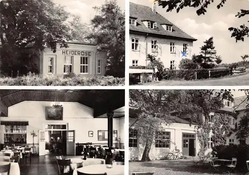 Vitte (Hiddensee) Heiderose gl1973 169.815