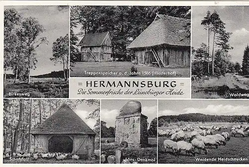 Hermannsburg (Lüneburger Heide), Mehrbildkarte gl1965? G3206