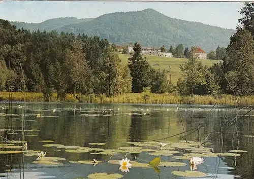 Bad Heilbrunn, Obb., Schönauer Weiher gl1983 G6727