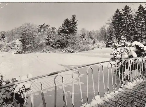 Bad Pyrmont, Winter im Kurpark glum 1970? G3403