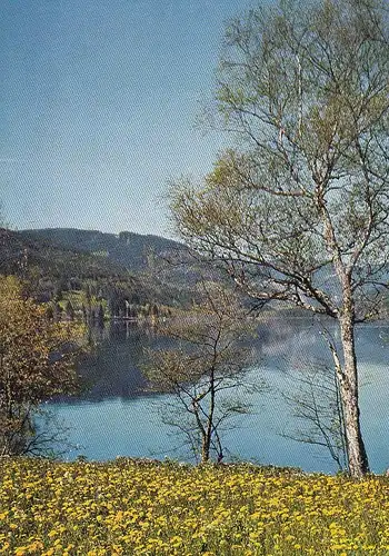 Titisee, Schwarzwald, Teilansicht ngl G6839