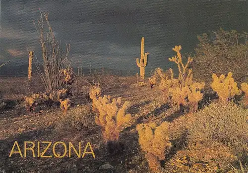Arizona, Storm at Sunset over the Arizona Desert gl2000 G4125
