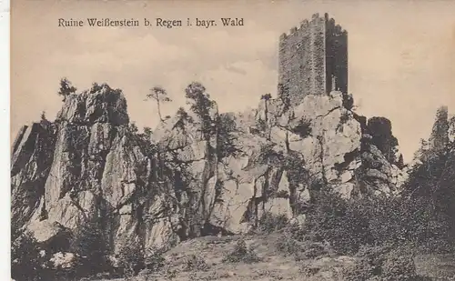 Bayer.Wald, Ruine Weißenstein bei Regen ngl G3474