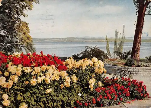 Insel Mainau im Bodensee Ufergarten Blick auf Birnau gl1960 170.321