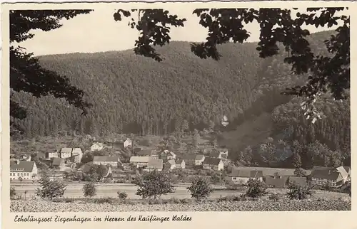 Ziegenhagen im Kaufunger Wald gl1957 G5789