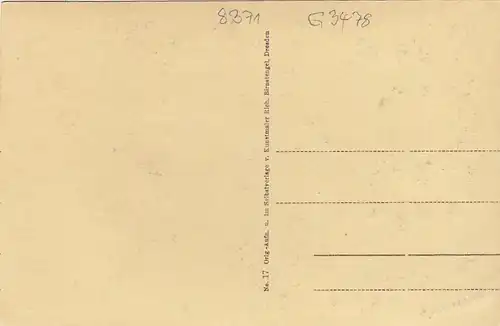 Bayer.Wald, Am Arbersee ngl G3478