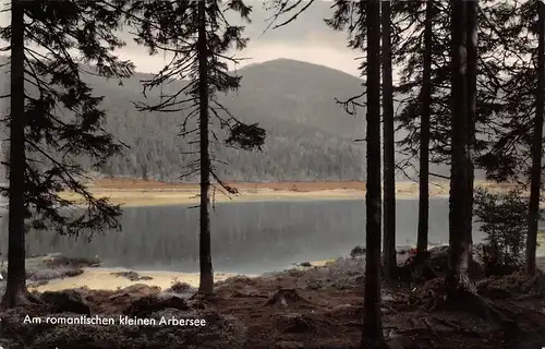 Bayerischer Wald Kleiner Arbersee Partie ngl 170.567