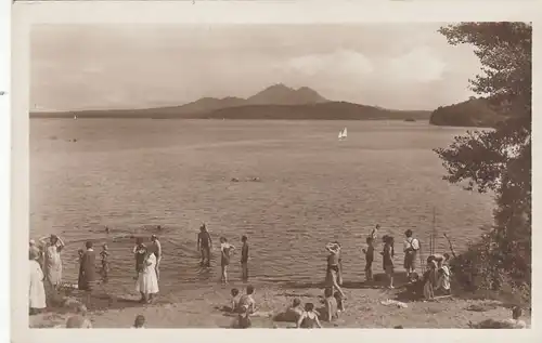 Thammühl am See, am Strande ngl G3572