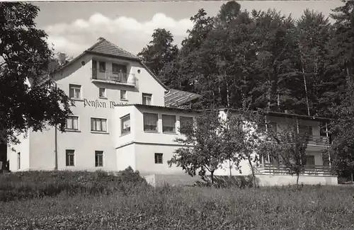 Weiten-Gesäss b.Michelstadt, Odw., Pension "Waldfriede ngl G5535