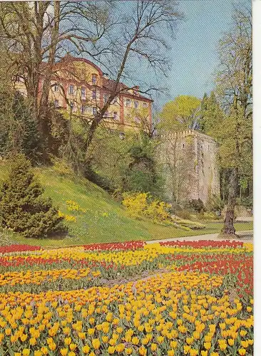 Insel Mainau im Bodensee, Schloß und Torkelturm im Frühjahr ngl G3721