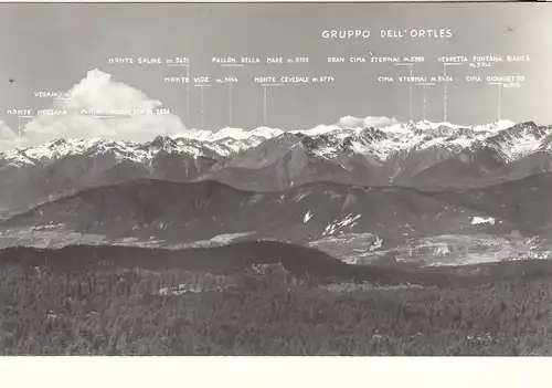 Gruppo dell' Ortles dal Monte Penegal ngl G3737