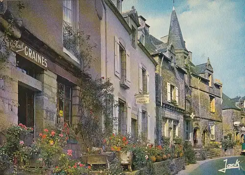 Rochefort-en-Terre, Bretagne, Le Grand Rue ngl G4646