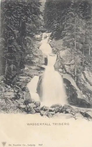 Triberg, Schwarzwald, Wasserfall ngl G3847