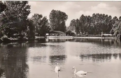 Bad Gandersheim am Harz, Osterbergsee mit Seeterrassen gl1959 G5784