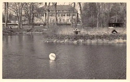 Werneuchen Uferpartie mit Schwan ngl 168.112