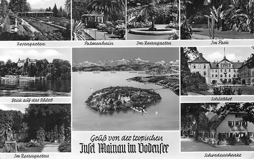 Insel Mainau (Bodensee) Teilansichten Mehrbildkarte ngl 170.981