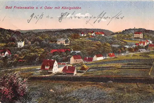 Bad Freienwalde Panorama mit Königshöhe gl1925 168.141