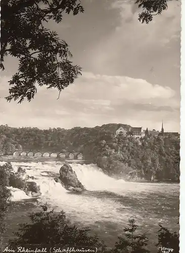 Rheinfall mit Schloß Laufen ngl G4223