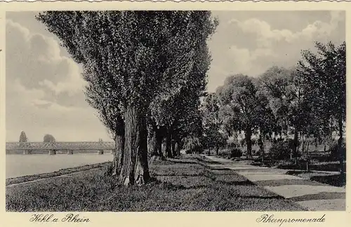 Kehl a.Rh. Rheinpromenade ngl G4074