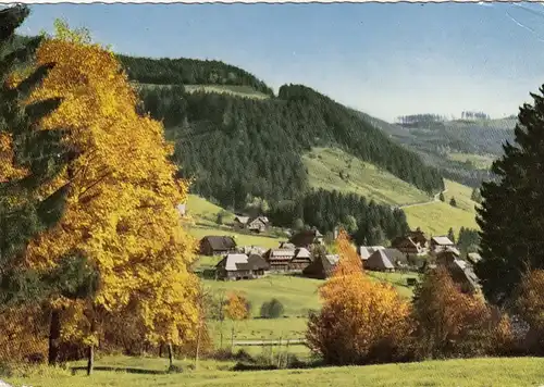 Menzenschwand, Schwarzwald, Albschluch mit Wasserfällen gl1973 G4311