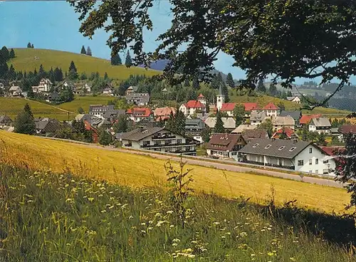 Altglashütten am Feldberg, Schwarzwald, Teilansicht ngl G4343