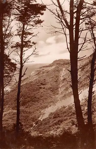 Hiddensee Swantevit-Schlucht beim Klausner ngl 169.761