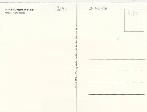 Lüneburger Heide in voller Blüthe ngl G4593