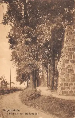 Angermünde Partie an der Stadtmauer feldpgl1918 168.245
